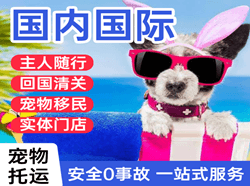 景德镇罗家空运代理国际宠物托运 【国